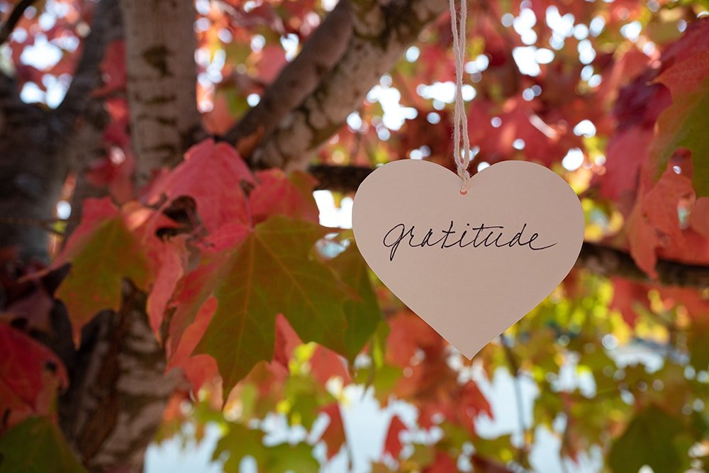Gratitude