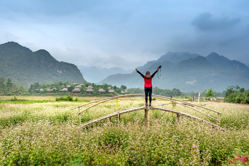 human being achieving growth and contribution and spiritual development