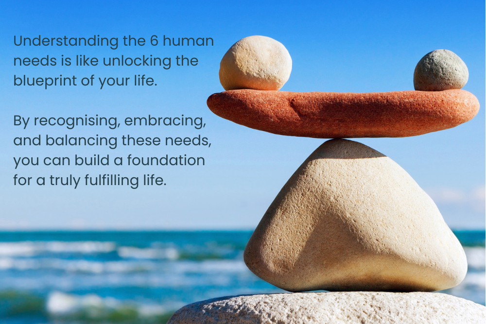 the 6 basic human needs